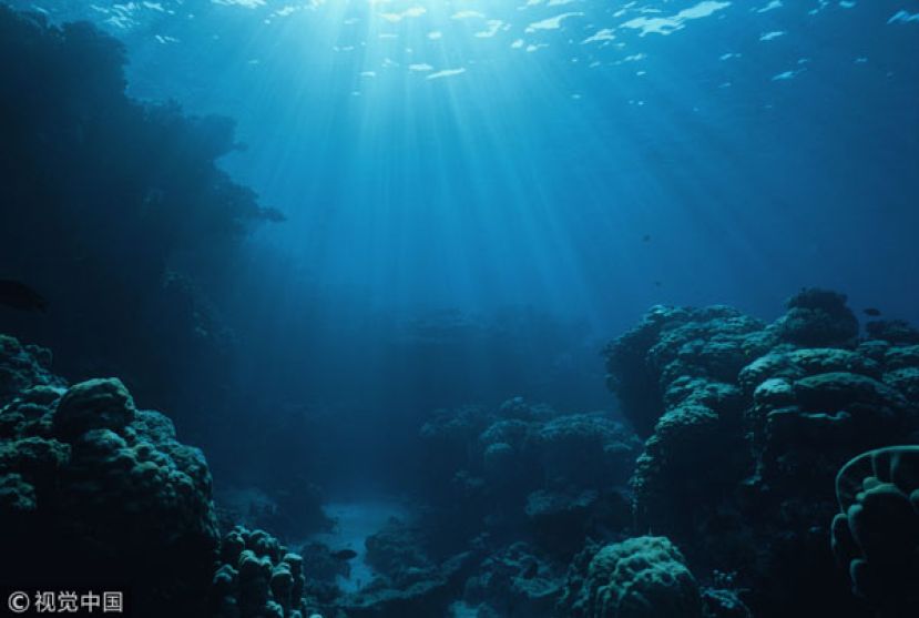 太平洋深海藏有大量未知病毒。