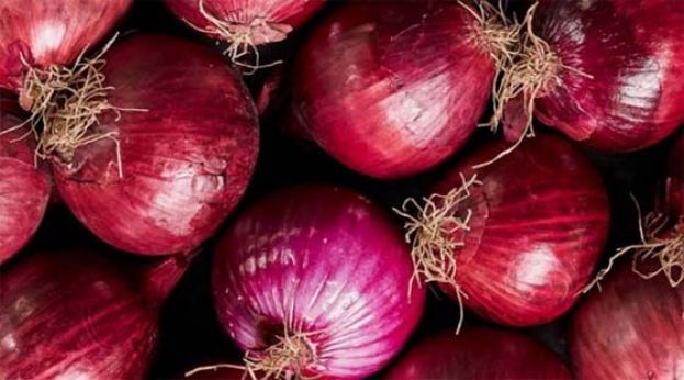 洋葱库存不足，印度再度限制出口价。