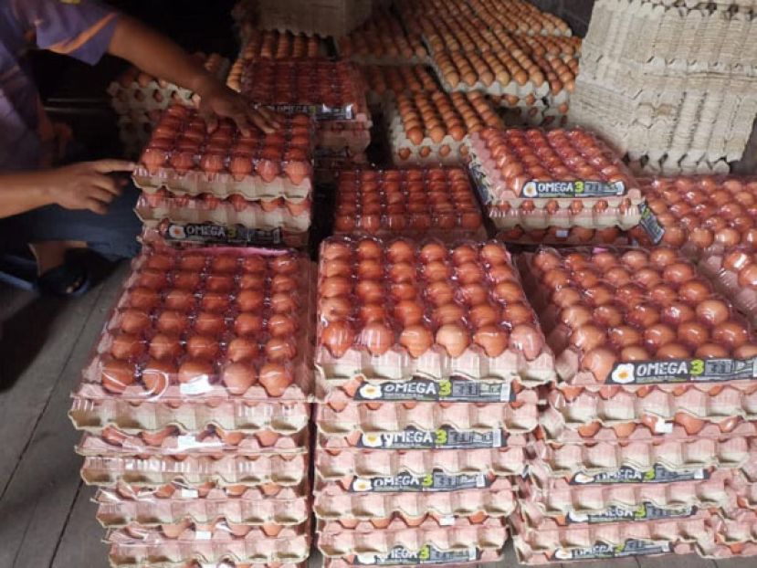 联邦农业销售局与7家蛋农合作 每周150万个鸡蛋到缺蛋区销售