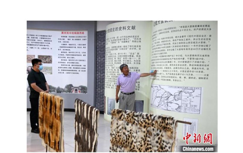 艾兴一在当地政府部门的帮助下建立了&ldquo;非遗&rdquo;传习所，将3000年裘皮制作技艺的特有文化展开在众人眼前。
