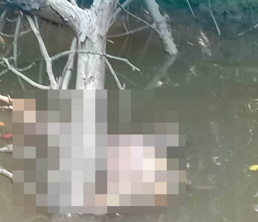 四肢不全的死者遗体漂浮在沿岸河面。