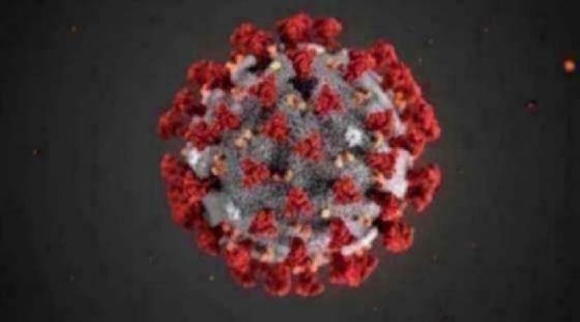 《新冠肺炎》大马新增865确诊3死