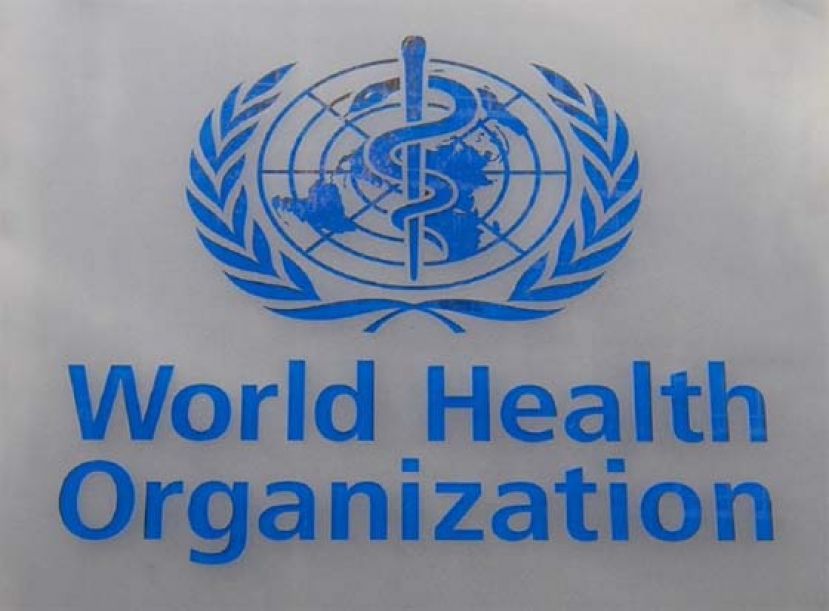 由于已出现禽流感跨物种传染哺乳类的病例，世界卫生组织（WHO）警告全球，必须为可能发生人类禽流感大流行作准备。