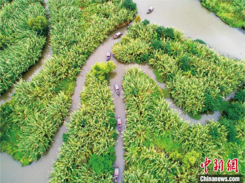 沙家黋国家湿地公园。