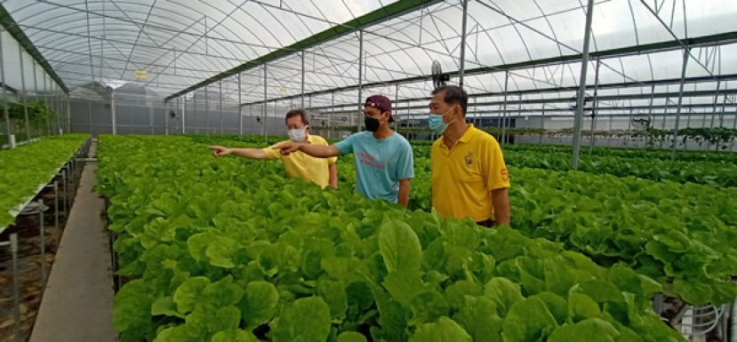 拿督斯里沈桂贤（左）日前到访石角路现代化大型农场，并听取工作人员的蔬菜种植简报，右是人联党石角支部代主席林亚德。