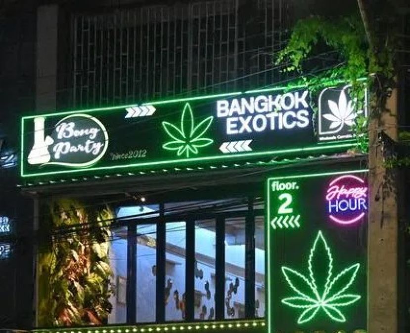 泰国加强管控大麻产业，种植销售须全程追踪。
