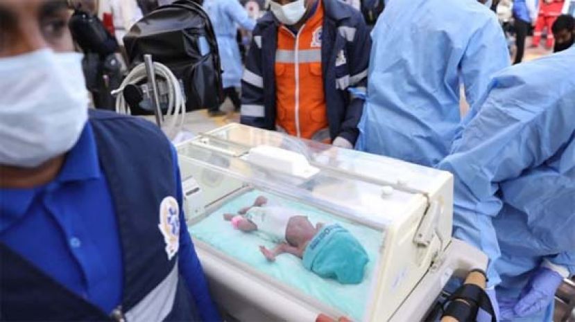 自加沙医院送抵埃及，多名早产婴危殆。