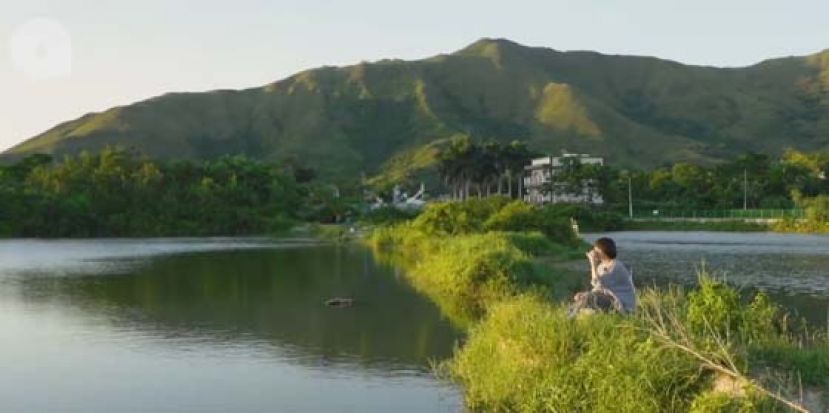 天后庙前的大湖，早年被对面YOHO买下当会所园景，得以保留。