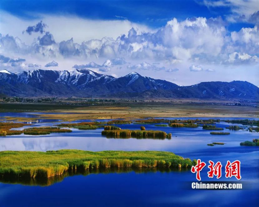 阿勒泰可可苏里。