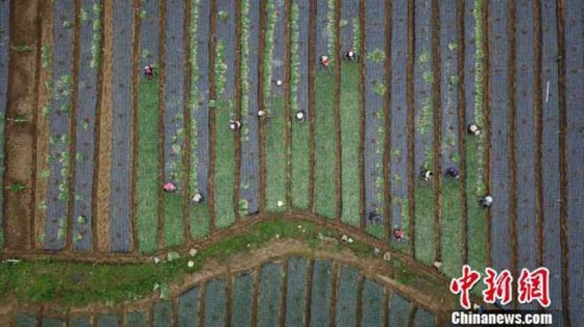 惊蛰到来！ 辛勤耕耘，不误农时