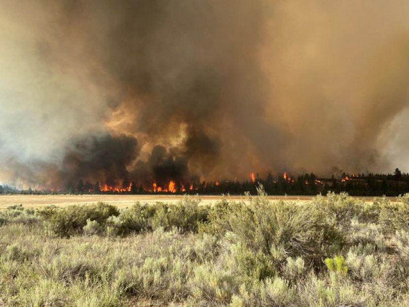 研究指出，受到全球暖化影响，到了2100年地球可能会有27％的物种消失。