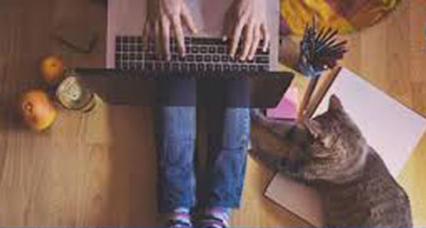 在家上班易分心？ 5法则助提高效率