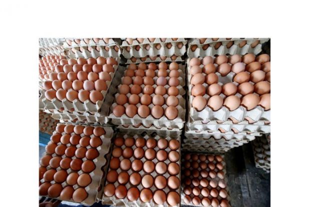 农业部：进口鸡蛋不涉公款