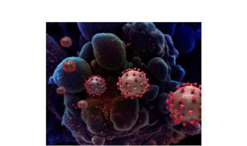 变种病毒太狡猾难检测　诺希山促国人自我管制