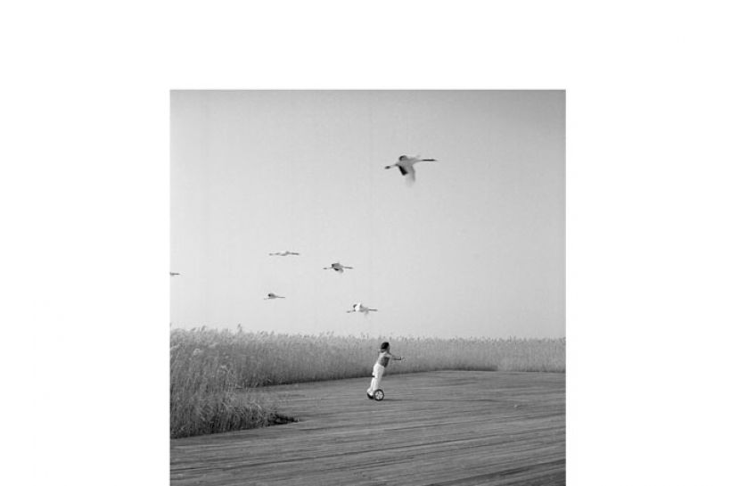 儿童与飞鹤 齐齐哈尔 Fly with the Cranes 2019。