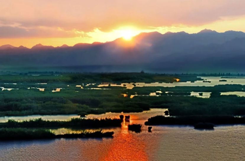 落日下的沙湖美景。