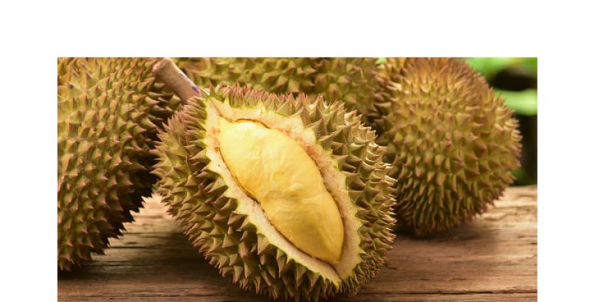大马首批榴梿鲜果　料本月杪输往中国