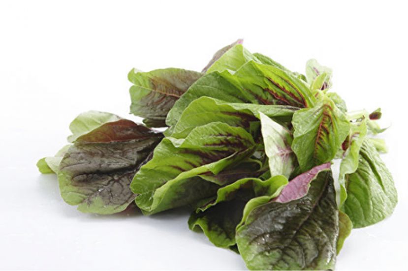 慢性缺氧引起多种疾病 二招补氧防缺氧