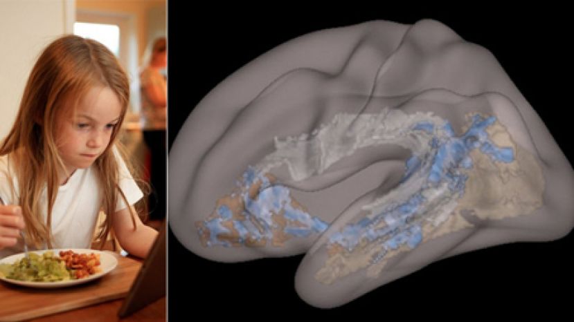 研究：幼童频看手机板脑或改变脑部结构 影响说话及阅读能力