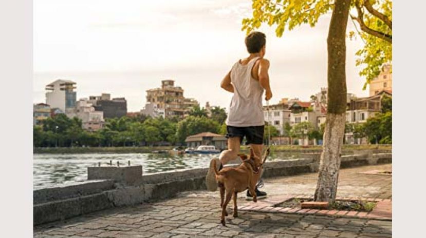 快走或遛狗30分钟 可降低男性糖尿病风险