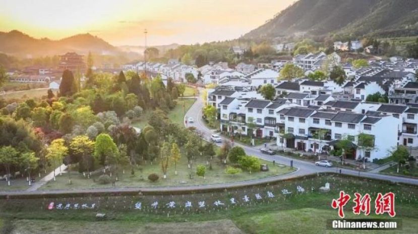 修水县双井村。