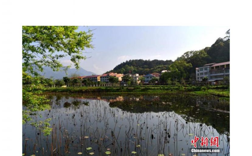 沙县俞邦村楼房成排，溪水绕村，景色美如画。