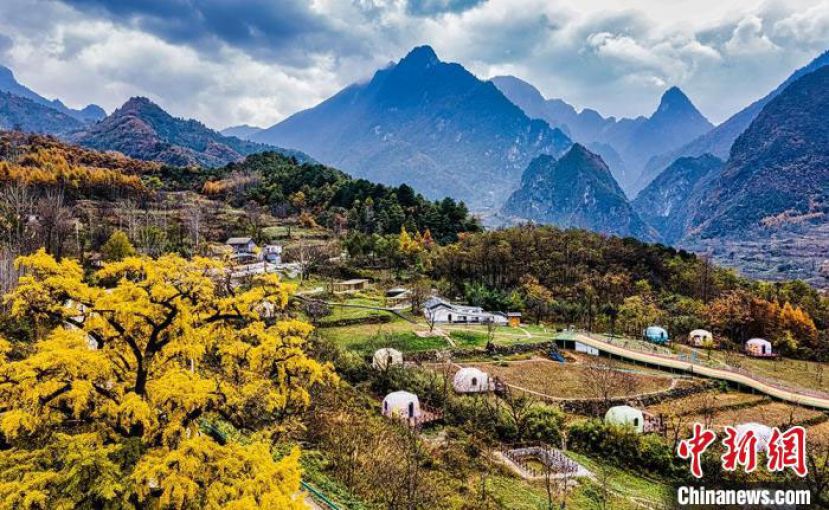 陇南市两当县云屏镇。