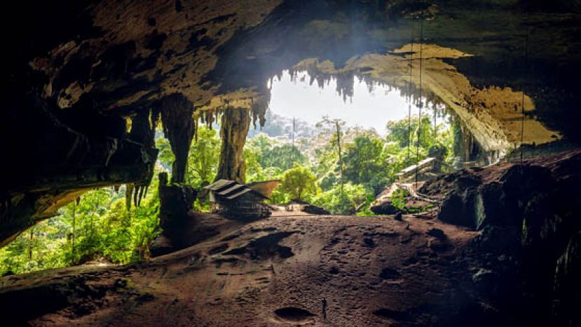 砂拉越有意派出专员远赴美国佛罗里达大学，以索回砂拉越尼亚石洞发现之逾100副原始人骸骨。