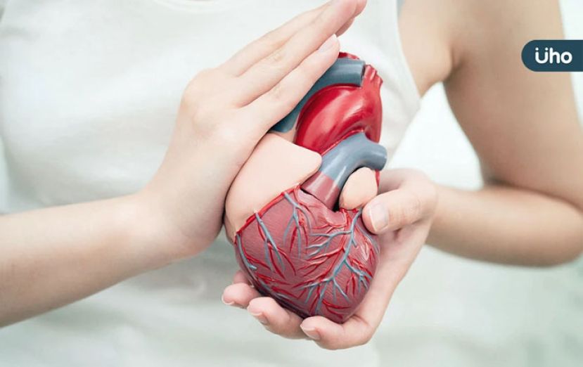 脂肪肝不只伤肝　更应重视心血管健康