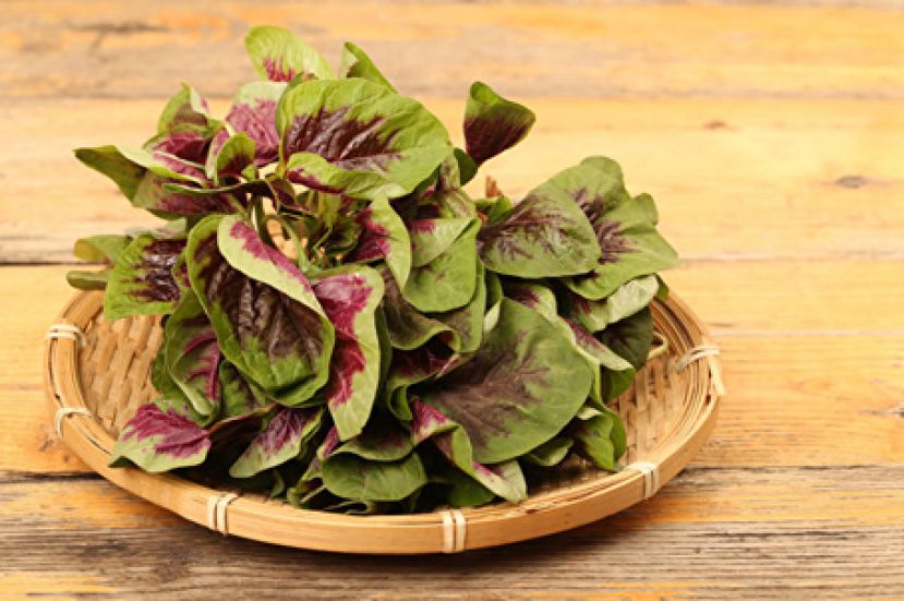 晕眩易疲劳是缺铁？营养师教你三招高效补铁