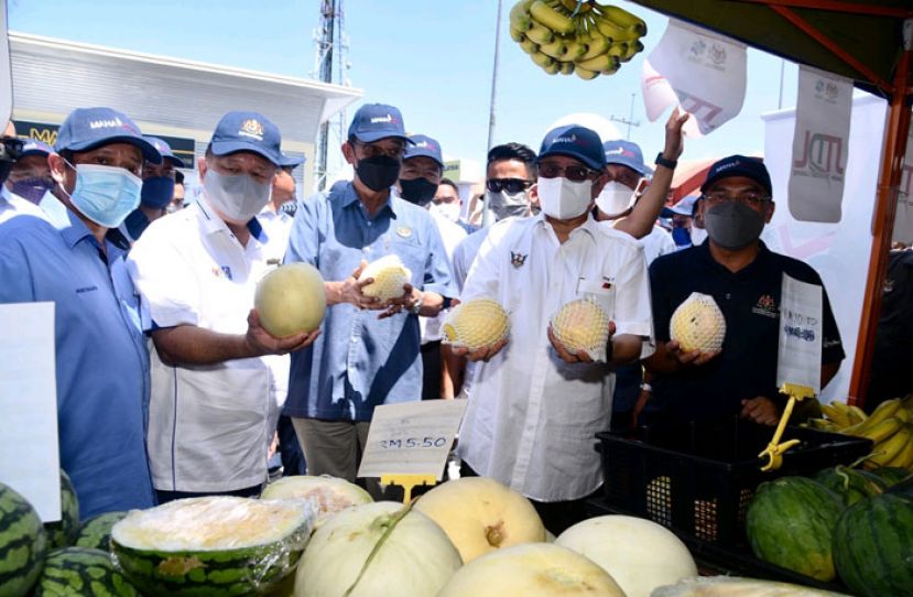 ●砂总理阿邦佐哈里（右二）对本地种植的甜蜜瓜赞不绝口。