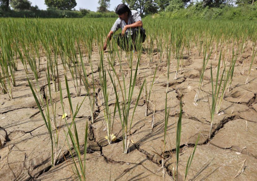 全球平均气温涨幅将突破1.5&deg;C，未来5年将是史上最热的5年。
