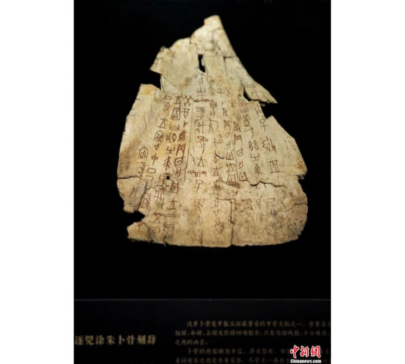 位于北京的国家博物馆内的&ldquo;证古泽今──甲骨文文化展&rdquo;展出的&ldquo;王宾中丁&middot;王往逐兕涂朱卜骨刻辞&rdquo;卜骨。