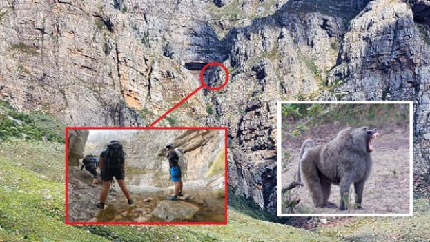 一群狒狒竟然将一块60公斤重的巨石推下山崖，导致3名登山客腿部骨折。