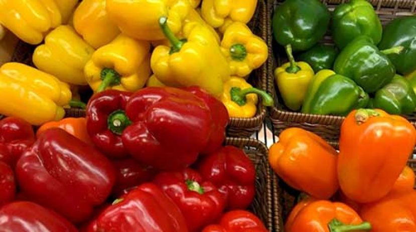 四色灯笼椒 红椒抗衰老最好