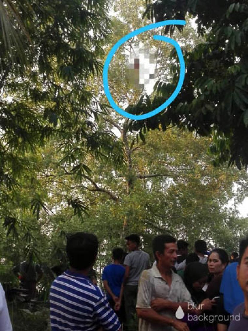 马来男子将自己吊在离地40英尺的树丫上自尽。