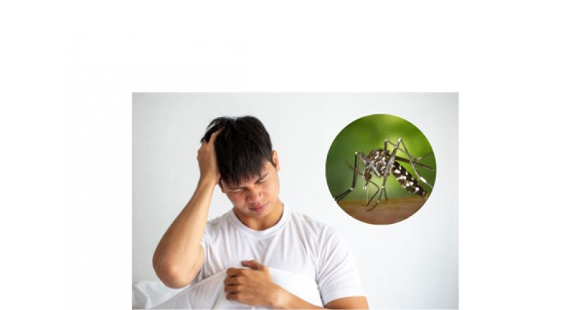 卫生部:预计骨痛热症病例将在今年底大幅增加