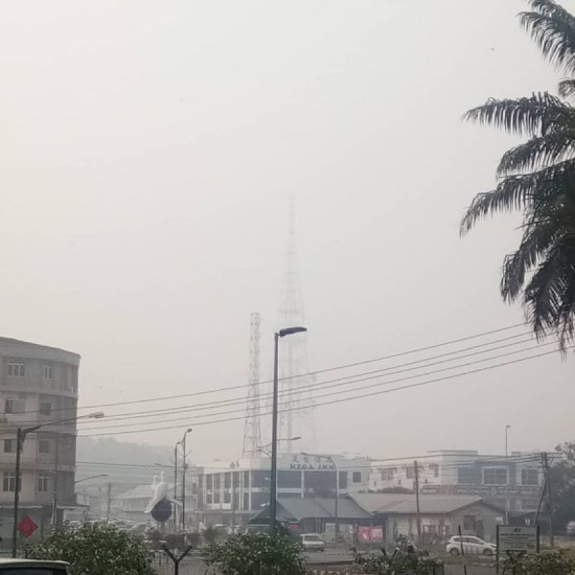 砂337学校继续停课  &nbsp;