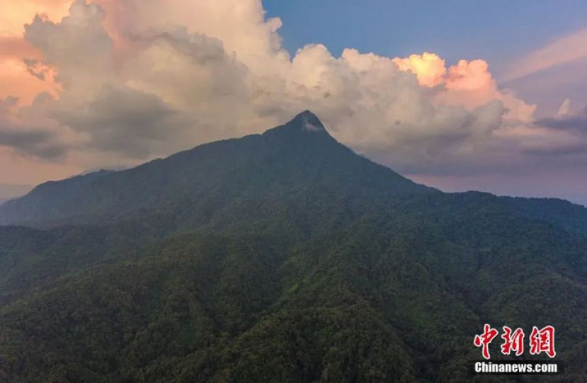 五指山主峰。