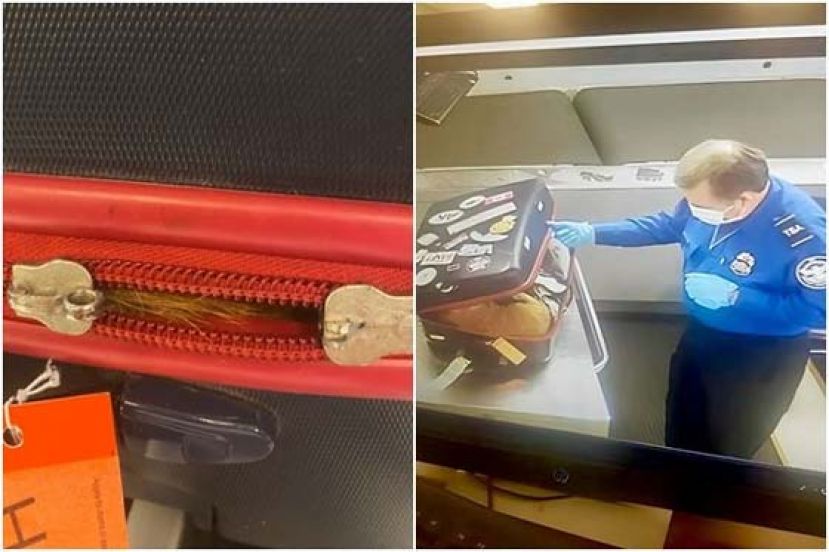 X光扫描发现托运行李有异物，乘客惊呼不是我的物品。