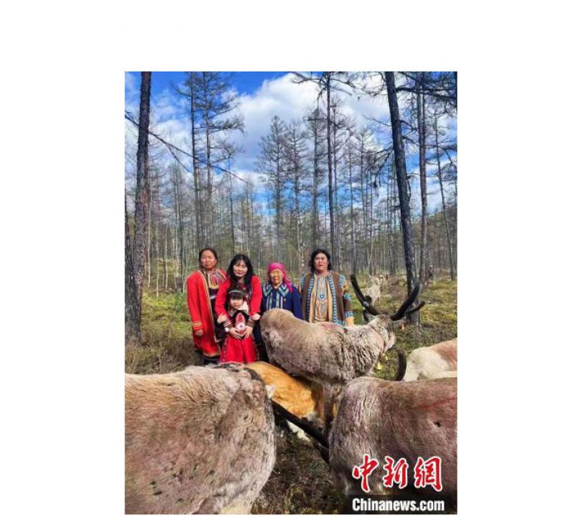 娜思塔一家和太奶奶与驯鹿在一起。