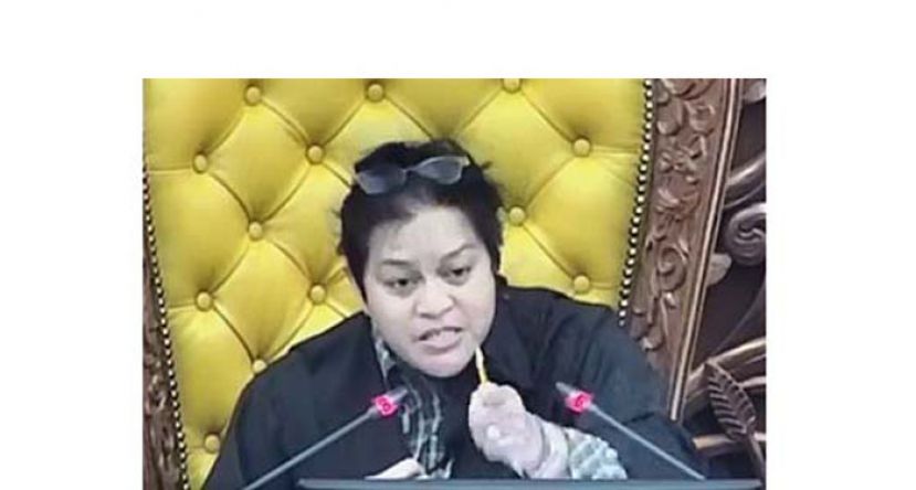 拿督斯里阿莎丽娜。