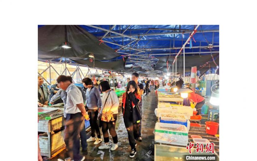 广海渔人码头海鲜市场每日吸引众多顾客前去选购海鲜。