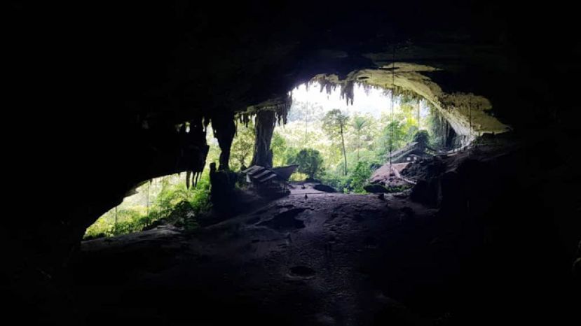 砂政府已通过国家文物遗产局申请将尼亚国家公园列为世界自然遗产。