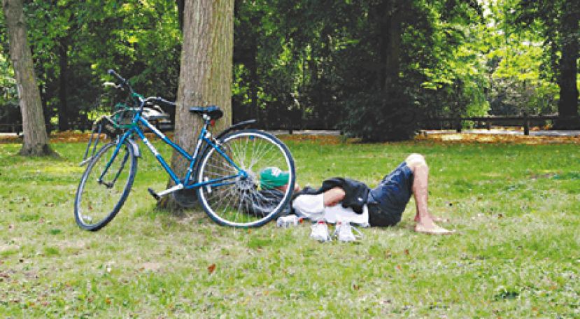 运动后小睡可增强记忆