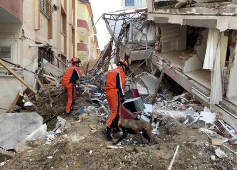 土耳其总统：地震灾区住房建设将于3月开始