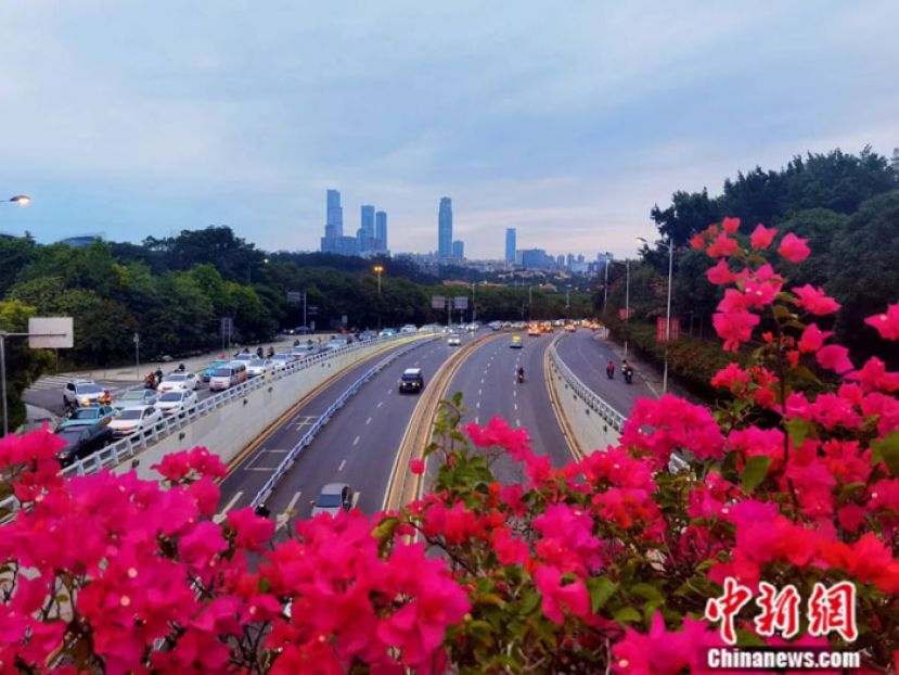 南宁市道路两旁都是绿树成荫。