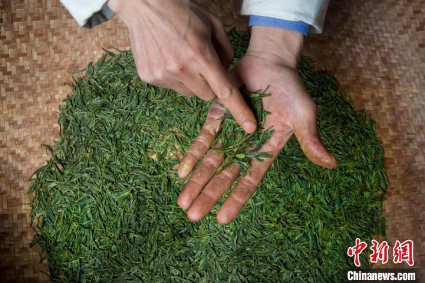 樊生华的手掌挤满了老茧。