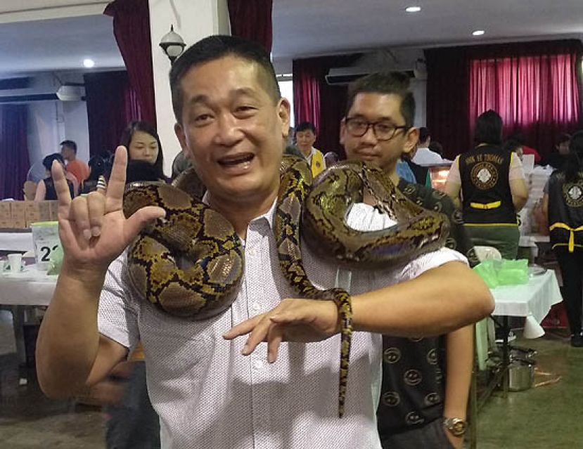 巴都林当区州议员施志豪在砂聋呀协会义卖会上&ldquo;与蛇共舞&rdquo;。