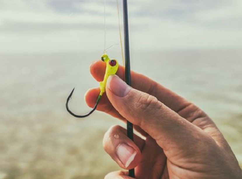 钓鱼险截肢！鱼钩刺到酿坏死性筋膜炎